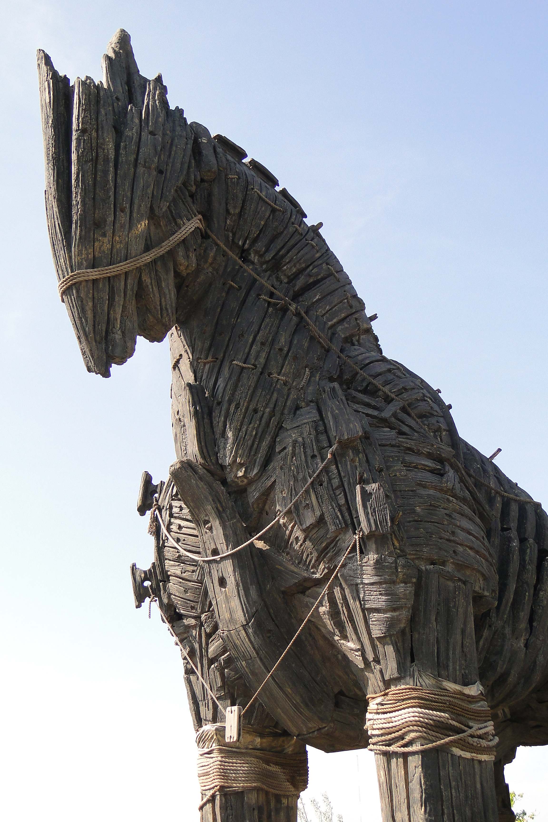 Trojan Horse Model School Project